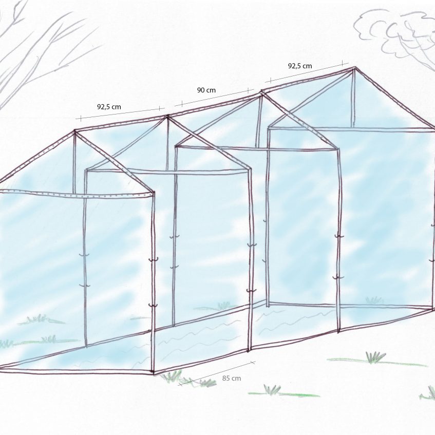 Gewächshaus (selber) bauen So geht’s!