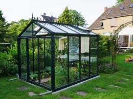 drissen2