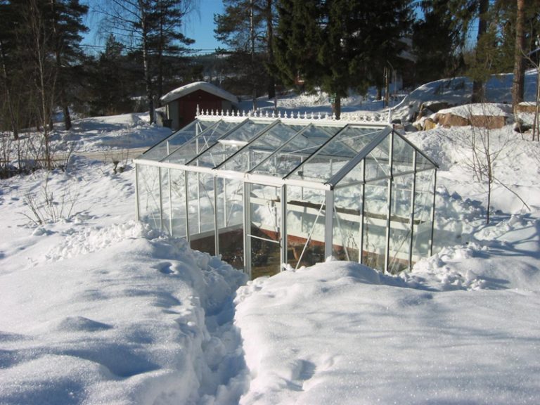 5 Möglichkeiten das Gewächshaus im Winter optimal zu nutzen