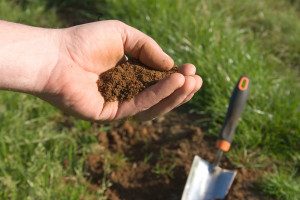 testing the soil