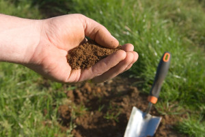 testing the soil