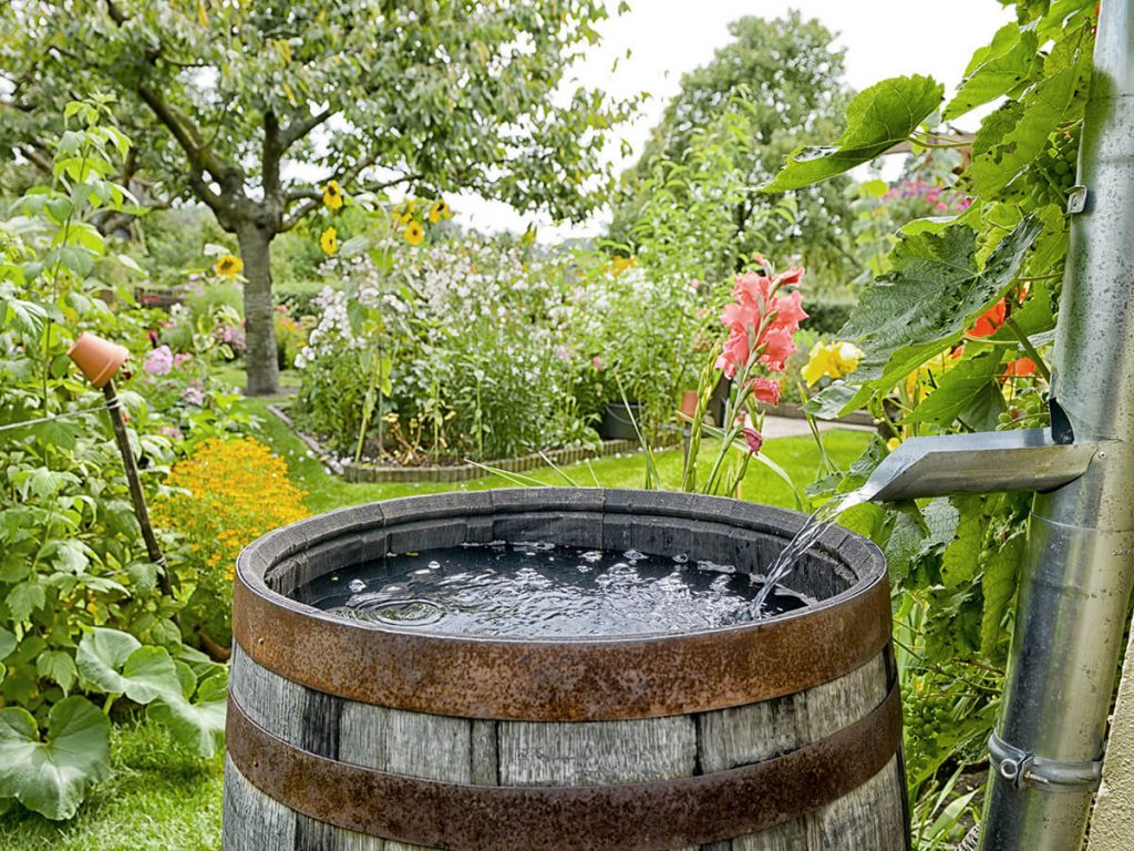 Wasser zum Gießen aus der Regentonne