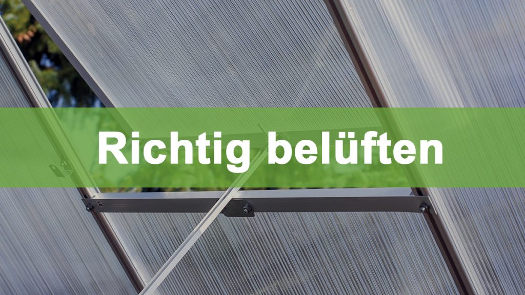 Richtig belüften im Gewächshaus