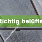 Richtig belüften im Gewächshaus