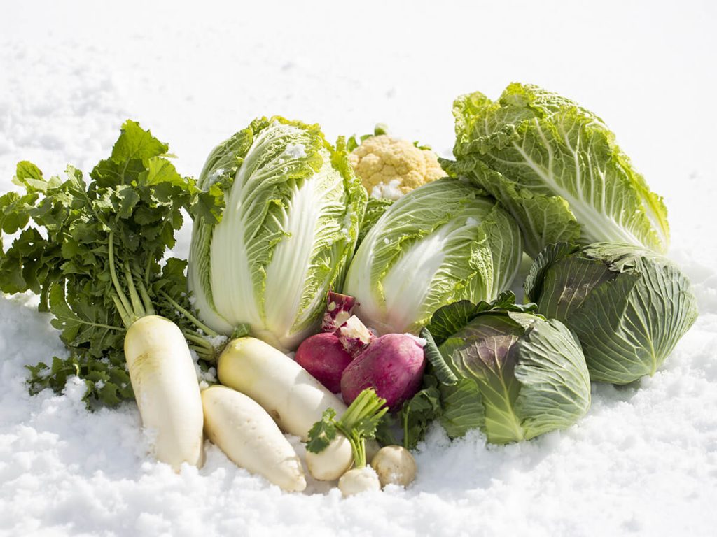 Winter Gemüse
