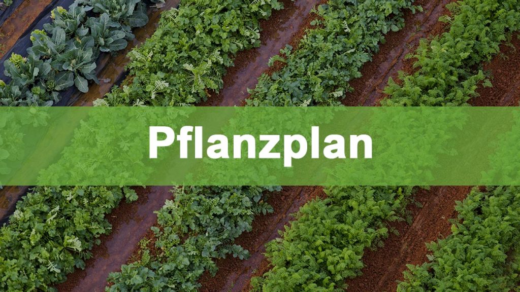 pflanzplan-thumb