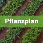 pflanzplan-thumb