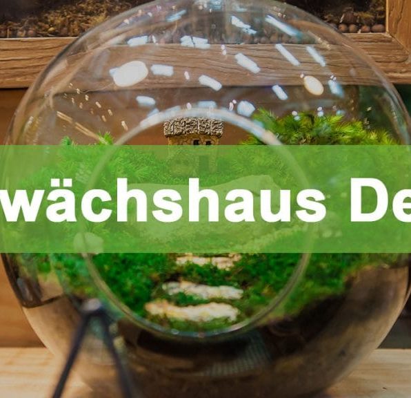 Gewächshaus Deko: Die 7 schönsten Ideen