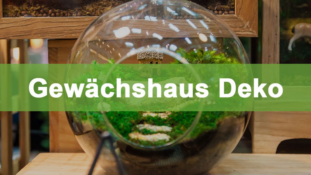 Gewächshaus Deko: Die 7 schönsten Ideen