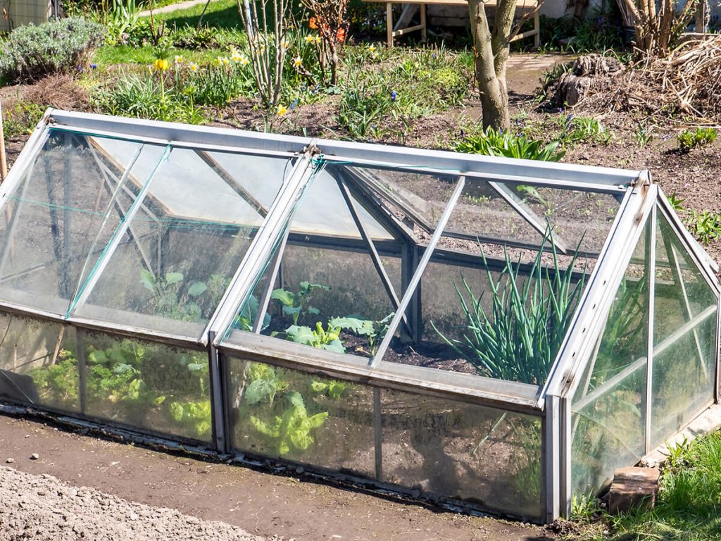 fruehbeet 1024x768 1