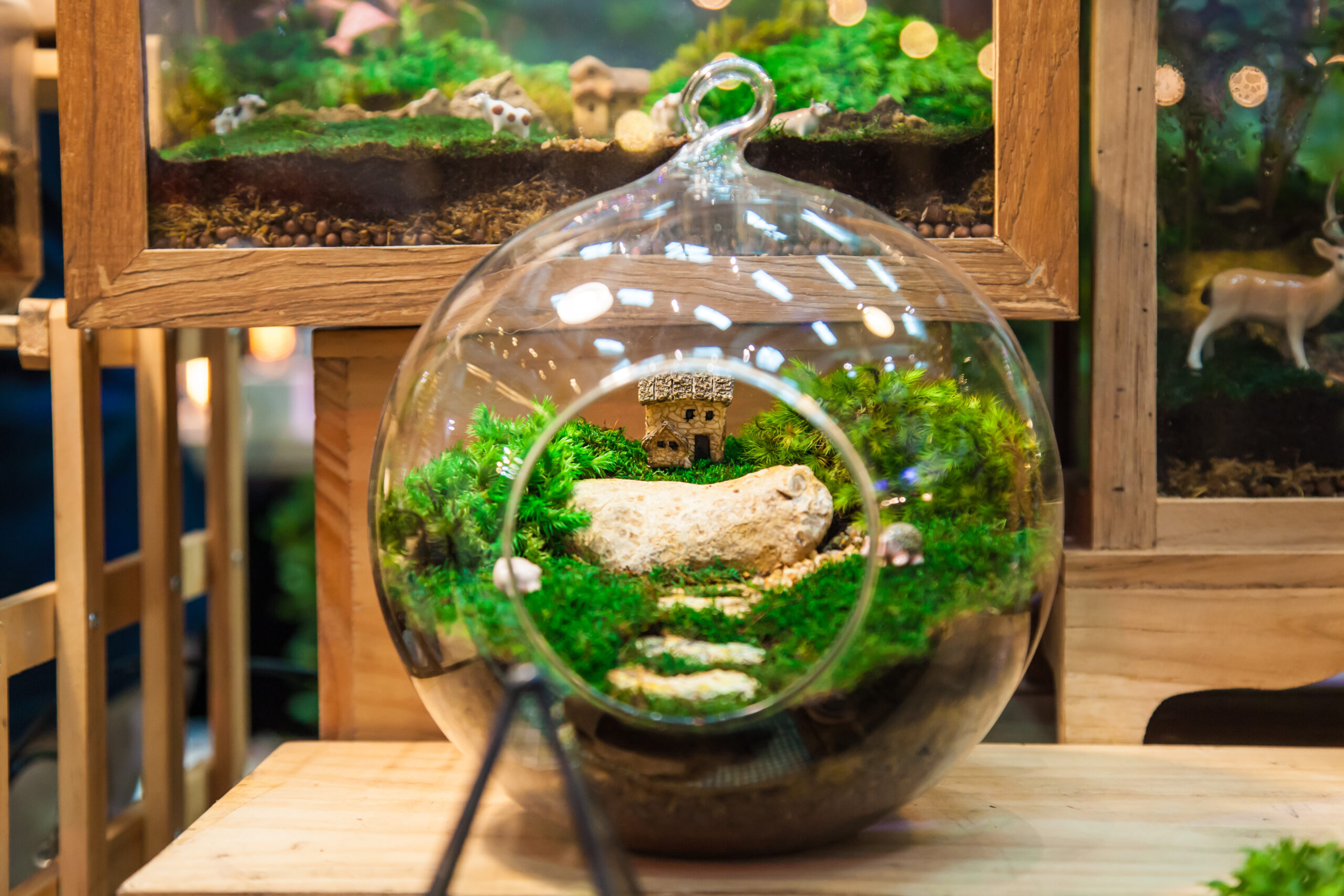 glaskugel terrarium scaled
