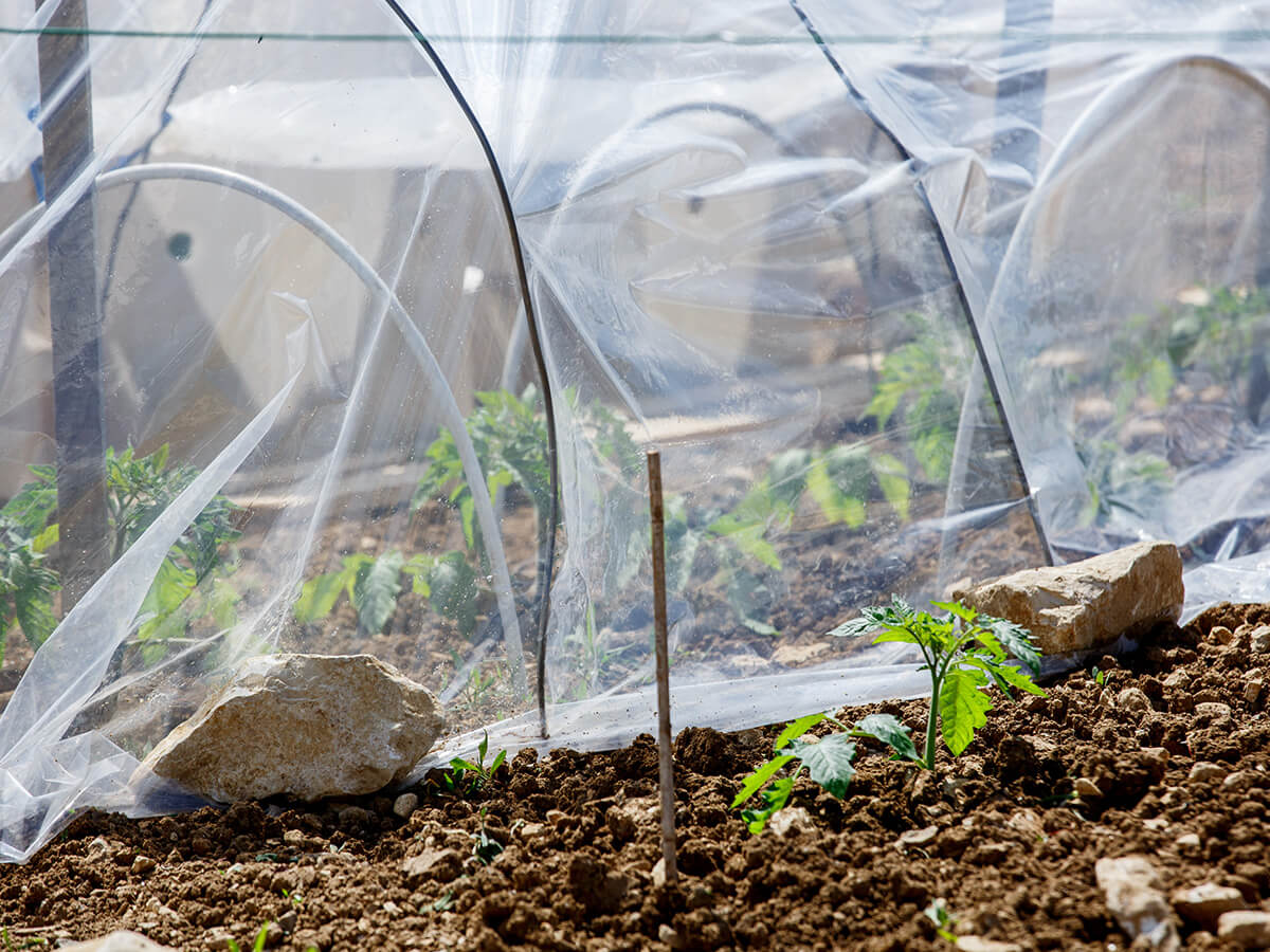 kleines Floien Gewaechshaus