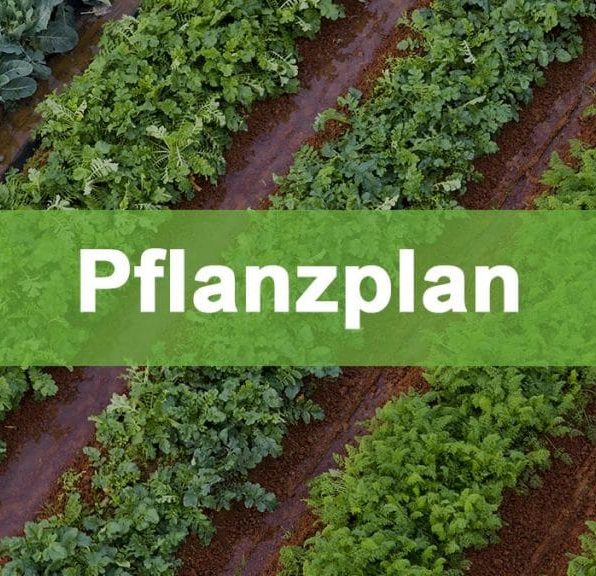 Pflanzpläne für Ihr Gewächshaus