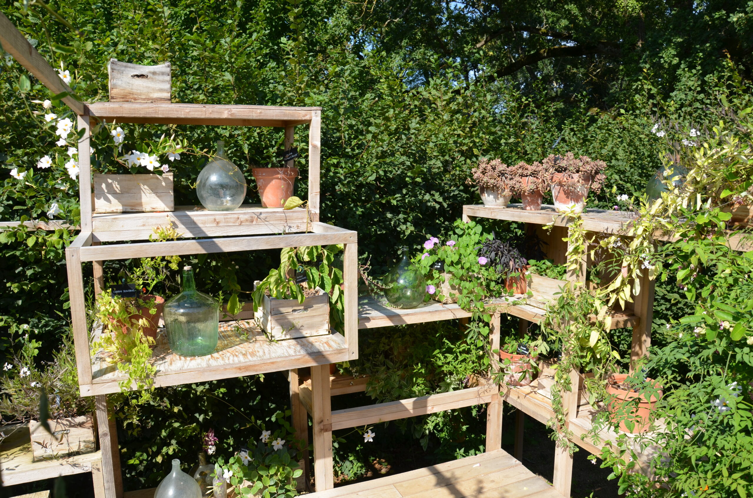 regale garten scaled