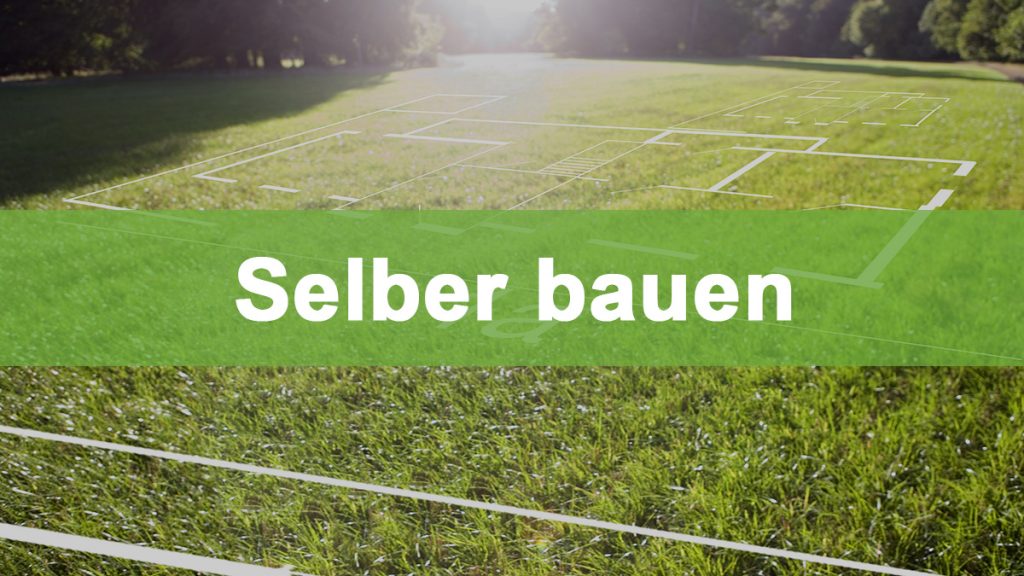 Gewächshaus selber bauen – So geht’s!
