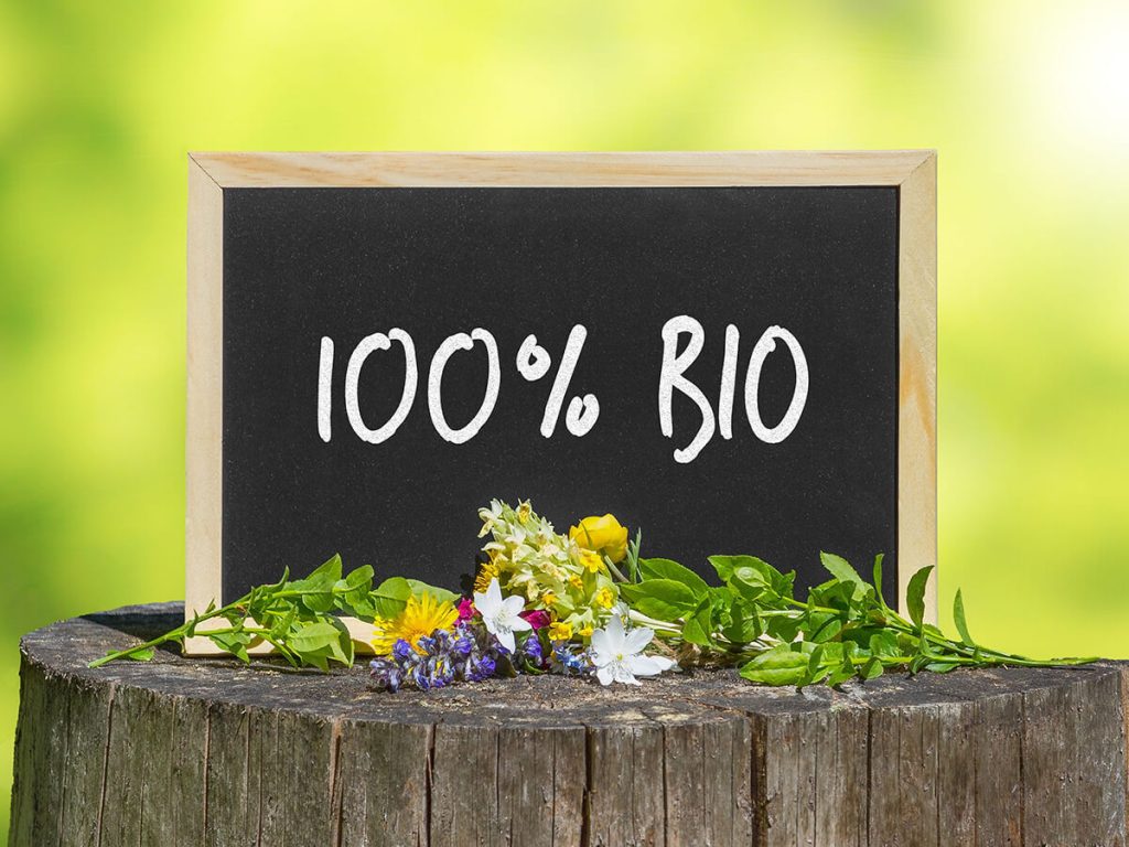 Bio-Gemüse anbauen im eigenen Gewächshaus 100 Prozent Bio 1024x768 1 100 Prozent Bio 1024x768 1