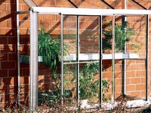 Anlehngewaechshaus Arcadia 300x225 1