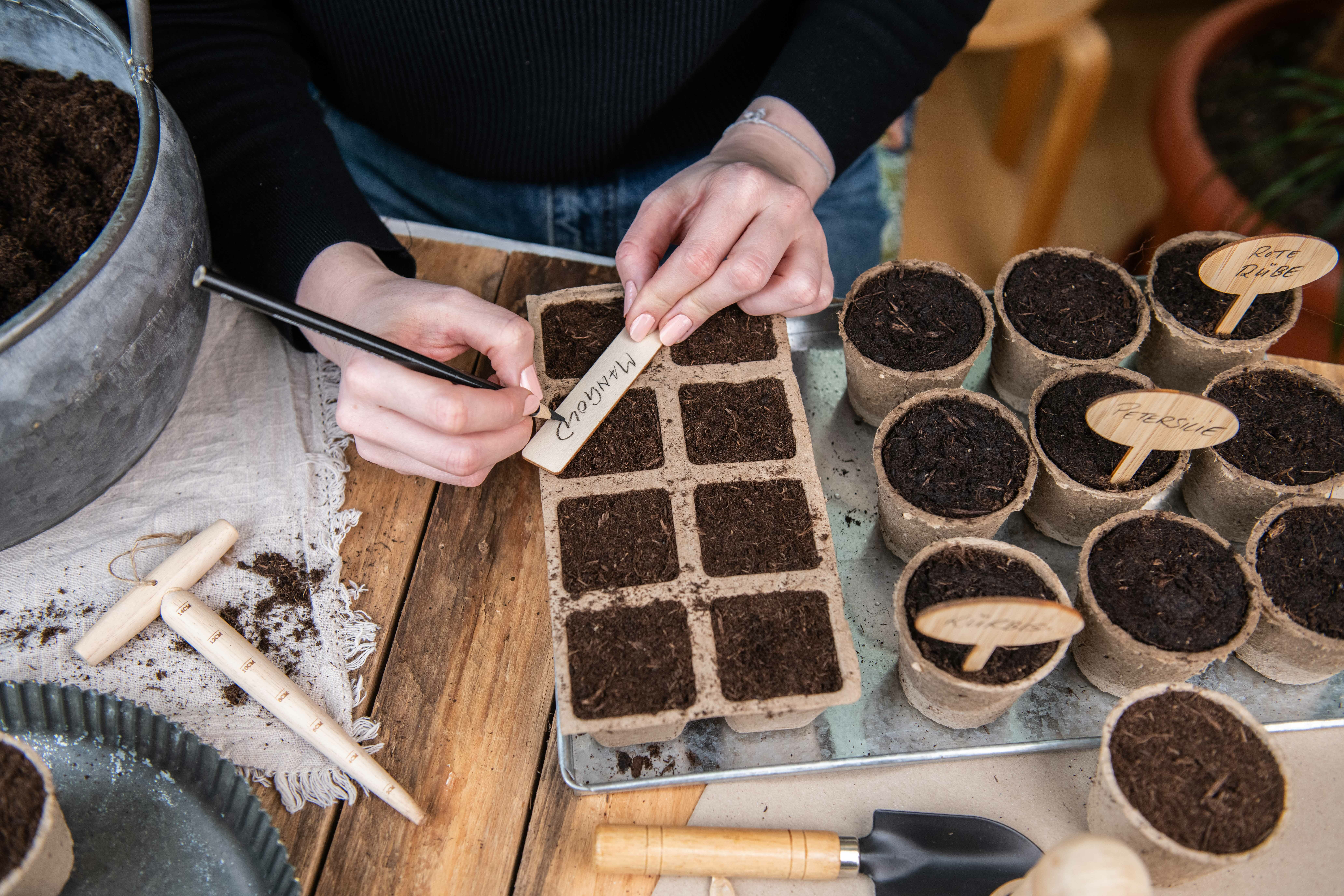 Gewächshaus bepflanzen Aussaat im Torftopf Aussaat im Torftopf