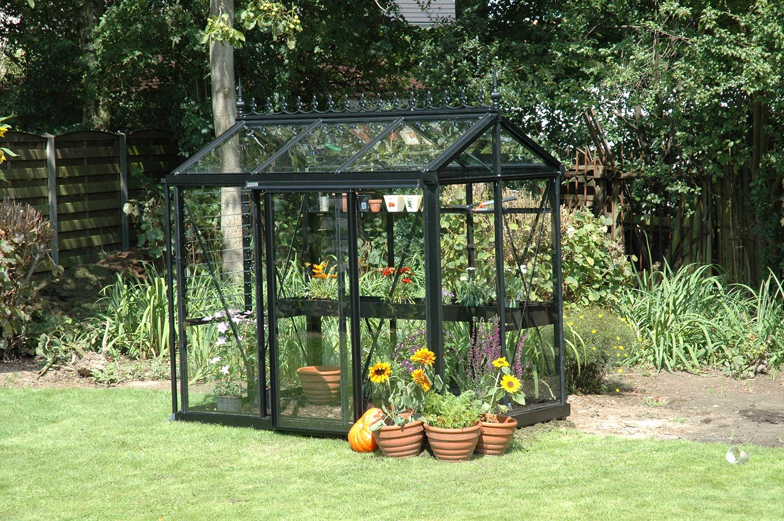 Viktorianisches Gewächshaus (Promo Star PSP, PSU) – Bild 2