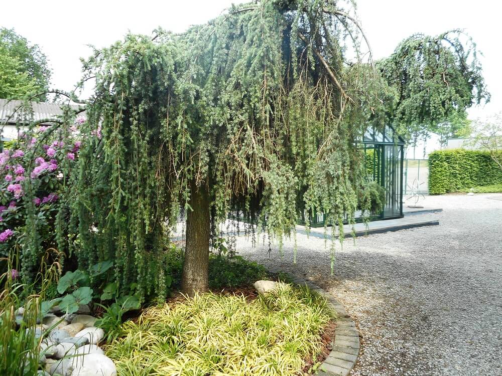 Gewaechshaus Ausstellung 4