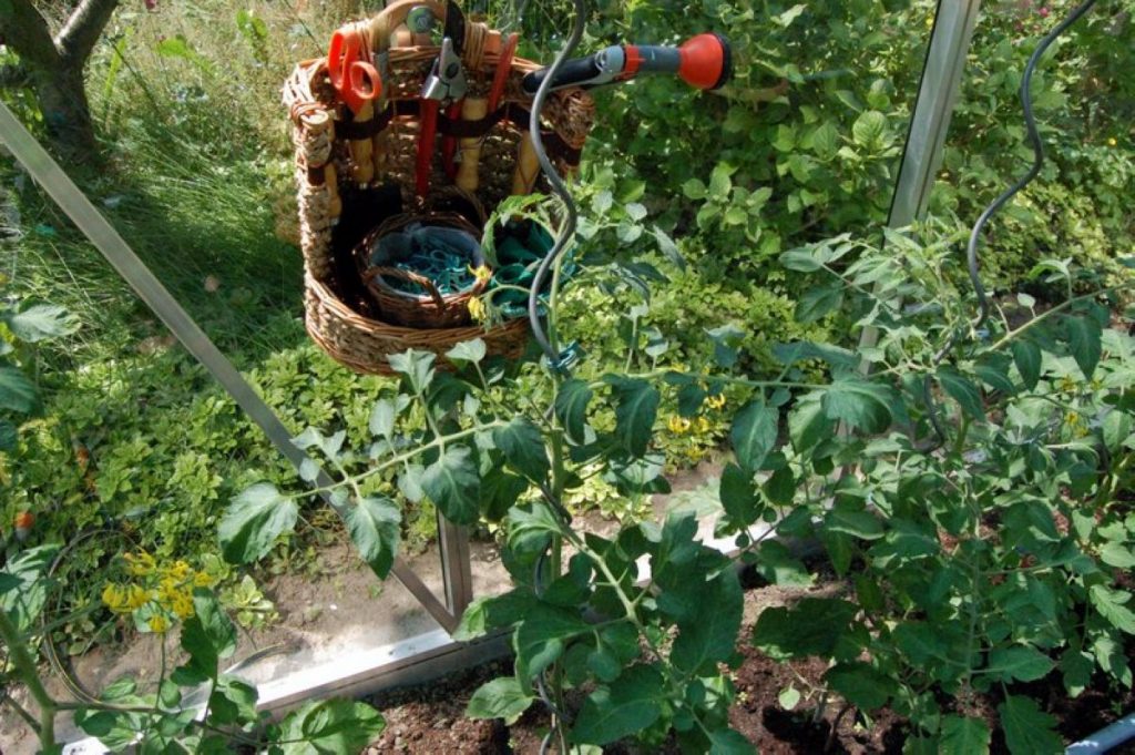 Bio-Gemüse anbauen im eigenen Gewächshaus Hamacher6 1024x681 1 Hamacher6 1024x681 1