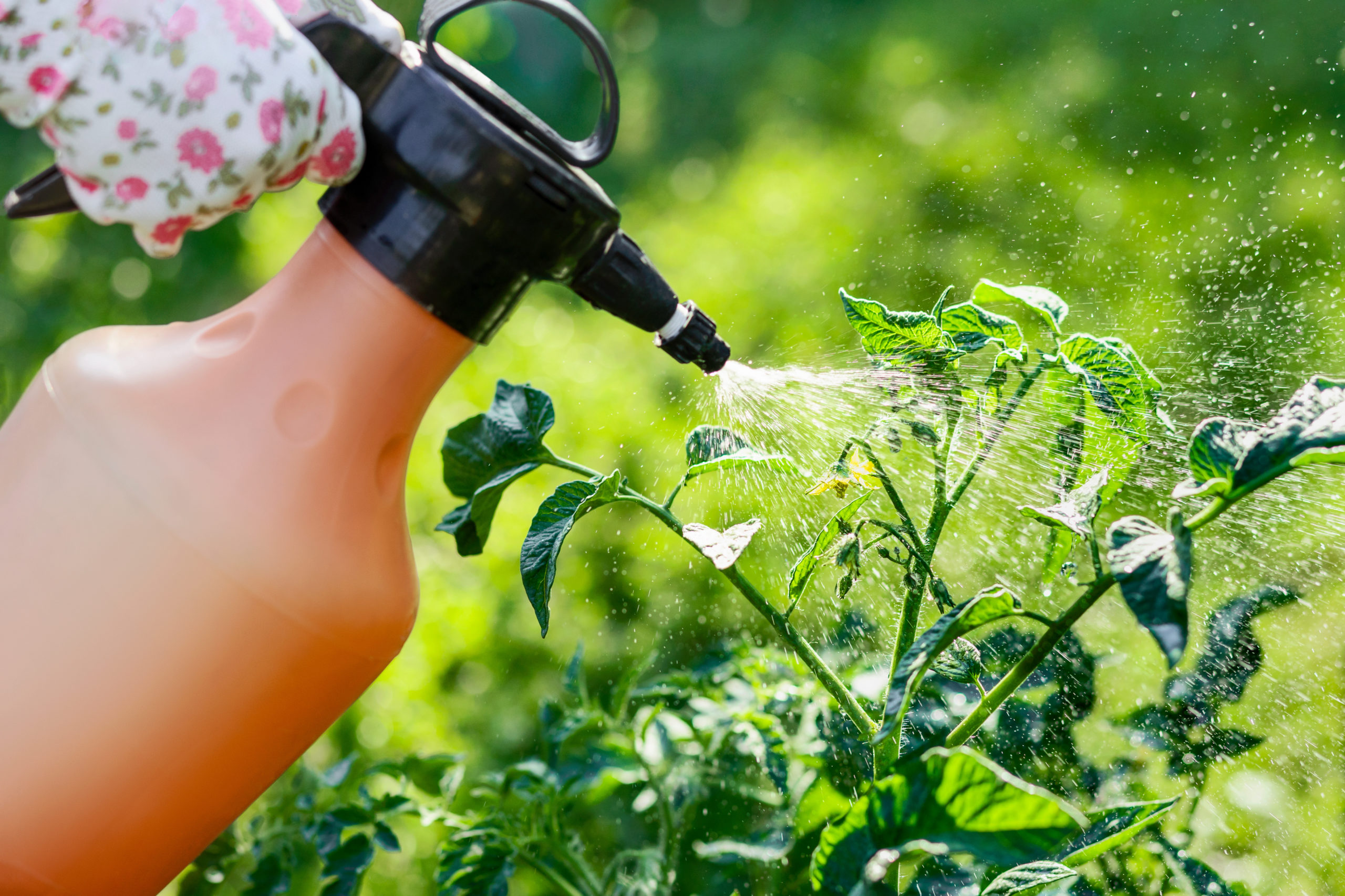 Haushaltsartikel gegen Schaedlinge scaled
