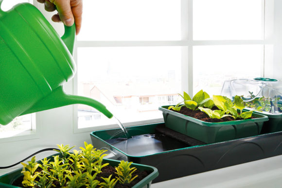 Beheizter Anzuchtkasten "Hollandia" mit den Maßen L 54 x B 21 x H 17 cm