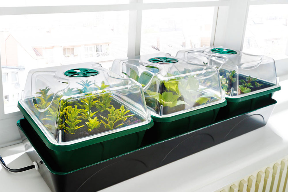 Beheizter Anzuchtkasten "Hollandia" mit den Maßen L 54 x B 21 x H 17 cm – Bild 1