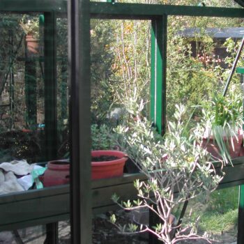 Viktorianisches Gewächshaus (Senior pulverbeschichtet SP36) – Bild 2