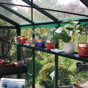 Viktorianisches Gewächshaus (Senior pulverbeschichtet SP36) – Bild 3