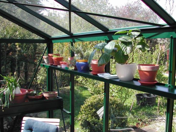 Viktorianisches Gewächshaus (Senior pulverbeschichtet SP36)