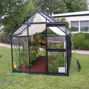 Viktorianisches Gewächshaus (Junior pulverbeschichtet JP24)