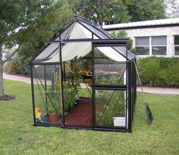 Viktorianisches Gewächshaus (Junior pulverbeschichtet JP24)