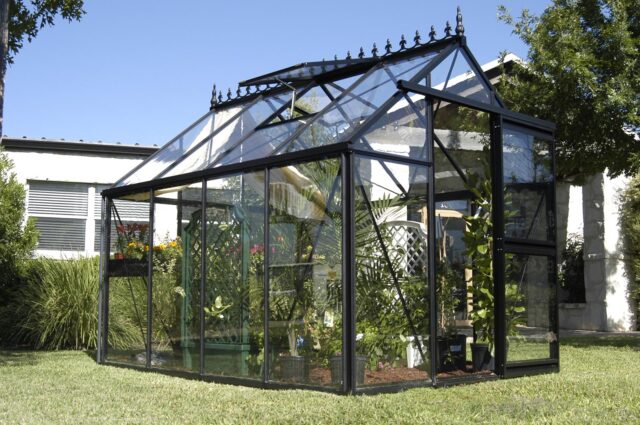 Viktorianisches Gewächshaus (Junior pulverbeschichtet JP23)