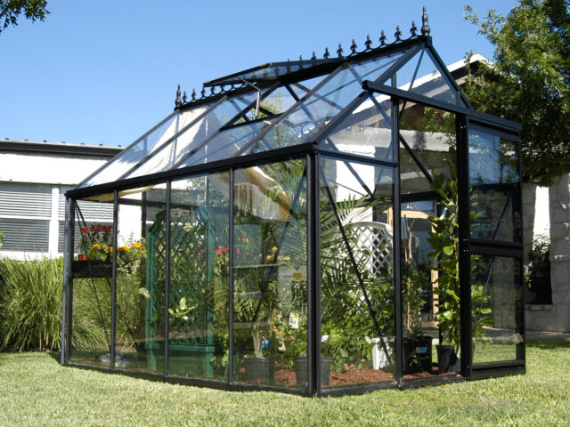Viktorianisches Gewächshaus (Junior pulverbeschichtet JP24)