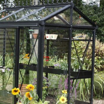 Viktorianisches Gewächshaus (Promo Star PSP, PSU) – Bild 4