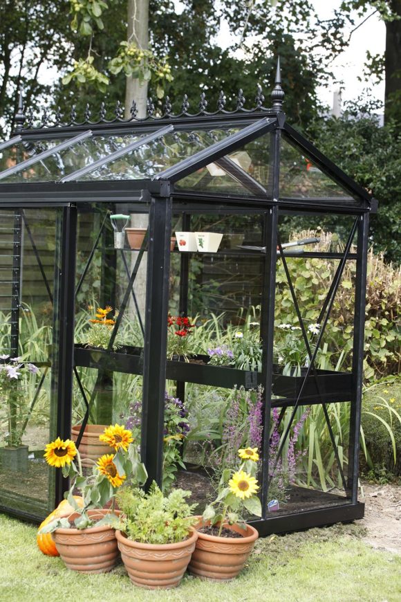 Viktorianisches Gewächshaus (Promo Star PSP, PSU)