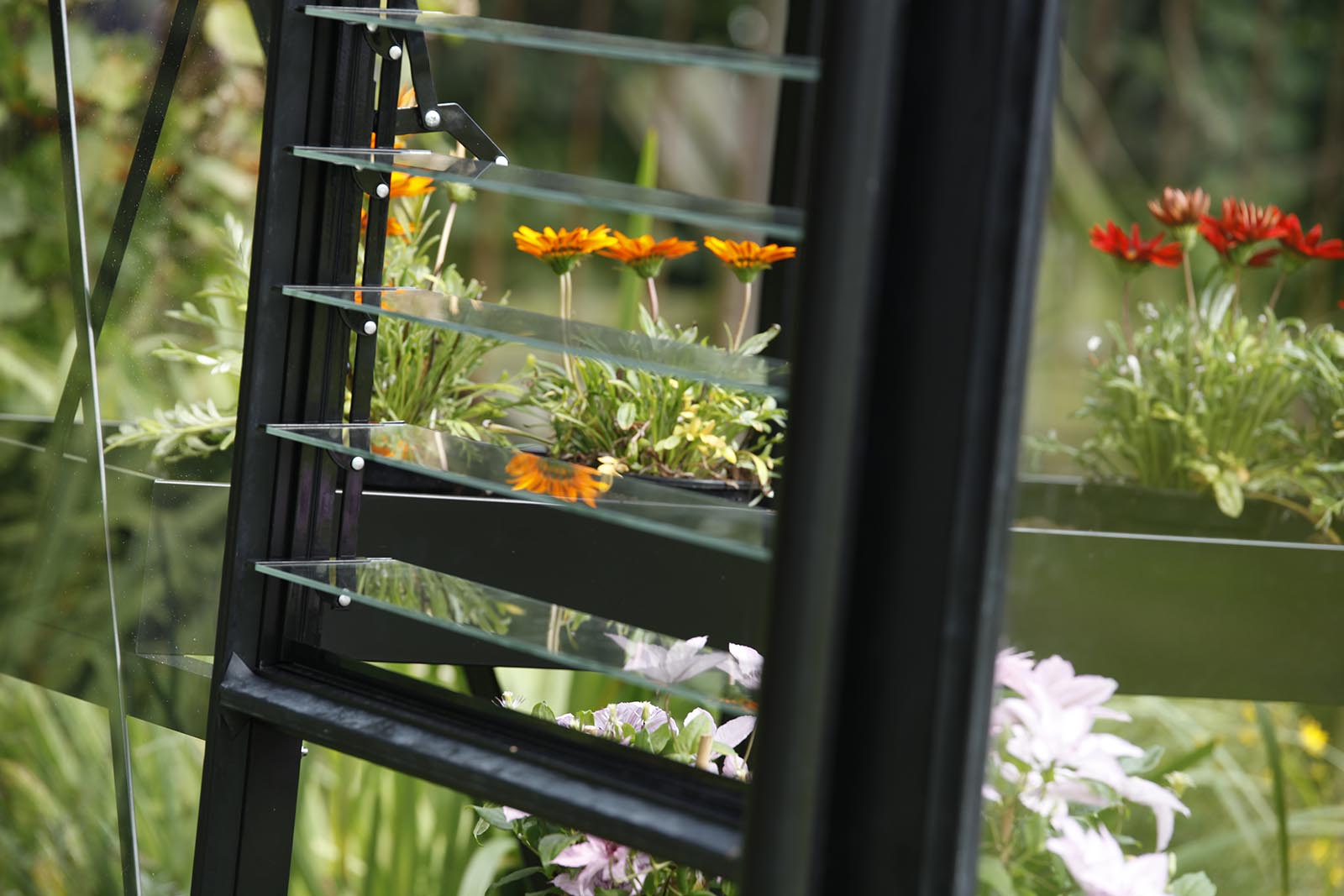 Viktorianisches Gewächshaus (Promo Star PSP, PSU) – Bild 3