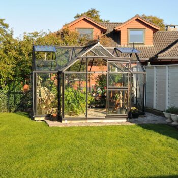 Viktorianisches Gewächshaus (Junior T-Modell JT) – Bild 2