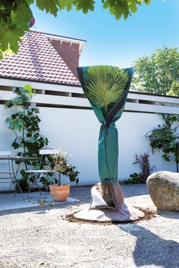 Winterschutz für Palmen H 150 cm Stamm Ø bis 35 cm
