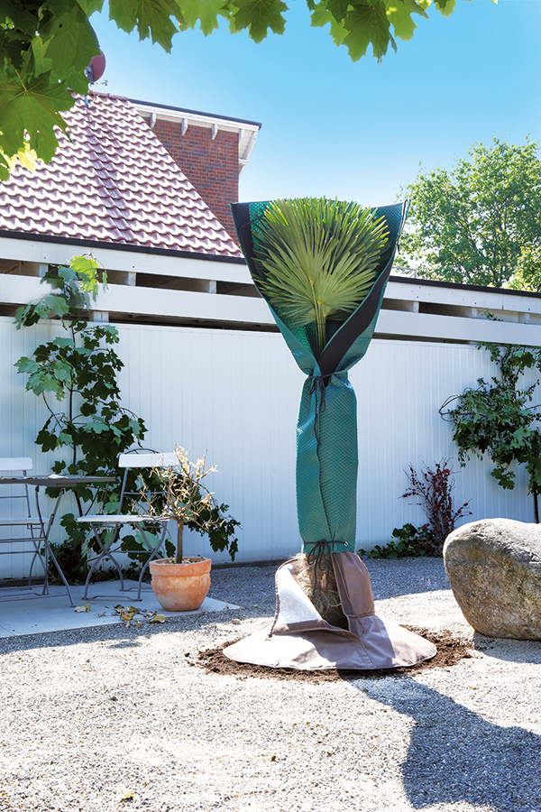 Winterschutz für Palmen H 150 cm Stamm Ø bis 35 cm