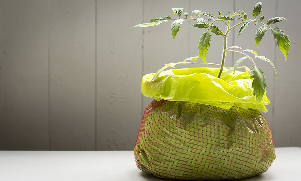 Pflanze waechst aus Blumenerdesack