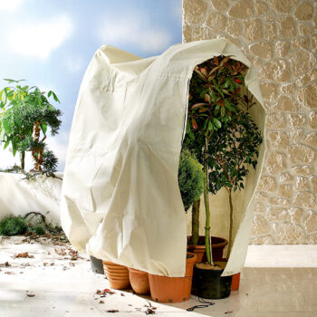 Winterschutz für Kübelpflanzen "Jumbo" H 200 x B 240 cm