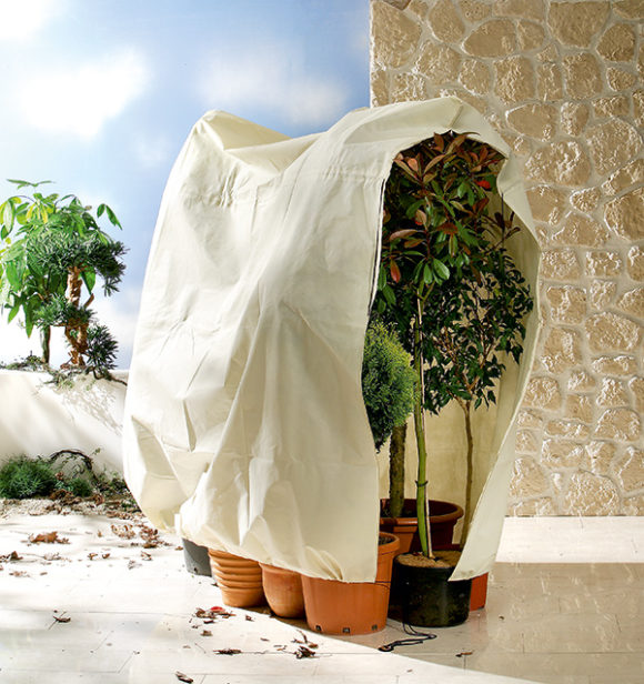 Winterschutz für Kübelpflanzen "Jumbo" H 200 x B 240 cm