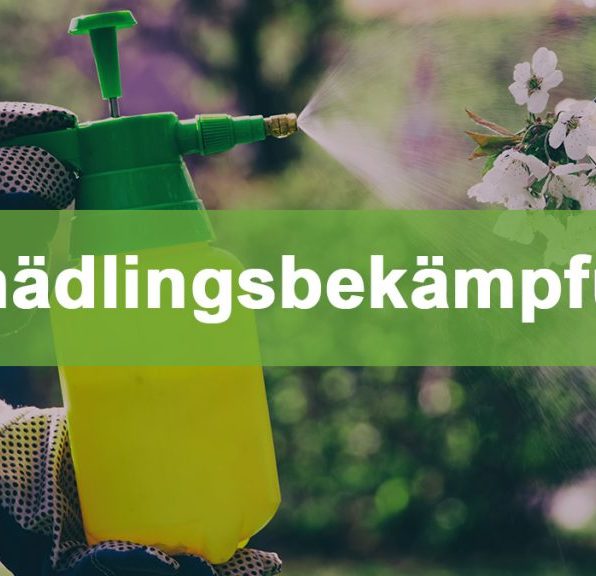 Schädlingsbekämpfung im Gewächshaus Schaedlingsbekaempfung thumb 1024x576 1 Schädlingsbekämpfung im Gewächshaus
