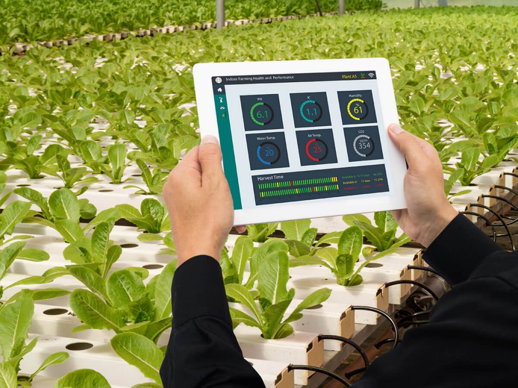 Smart Garden 1024x768 1