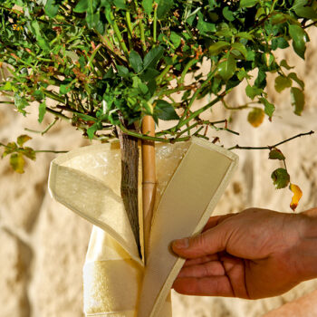 Stammschutz Micro-Vlies-Mantel H100 x B30cm UV-beständig