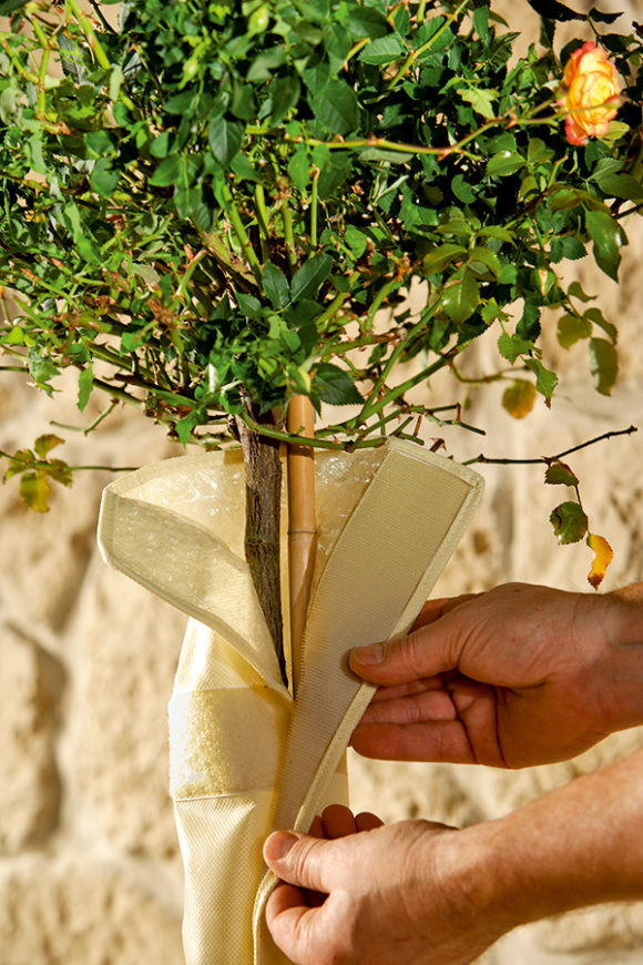 Stammschutz Micro-Vlies-Mantel H100 x B30cm UV-beständig