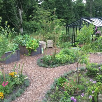 Viktorianisches Gewächshaus (Promo pulverbeschichtet PP36) – Bild 6