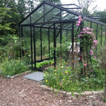 Viktorianisches Gewächshaus (Promo pulverbeschichtet PP36) – Bild 3